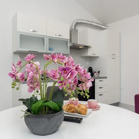 Marina Apartment