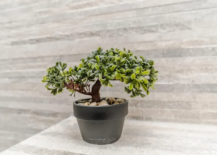 Appartement Marina *